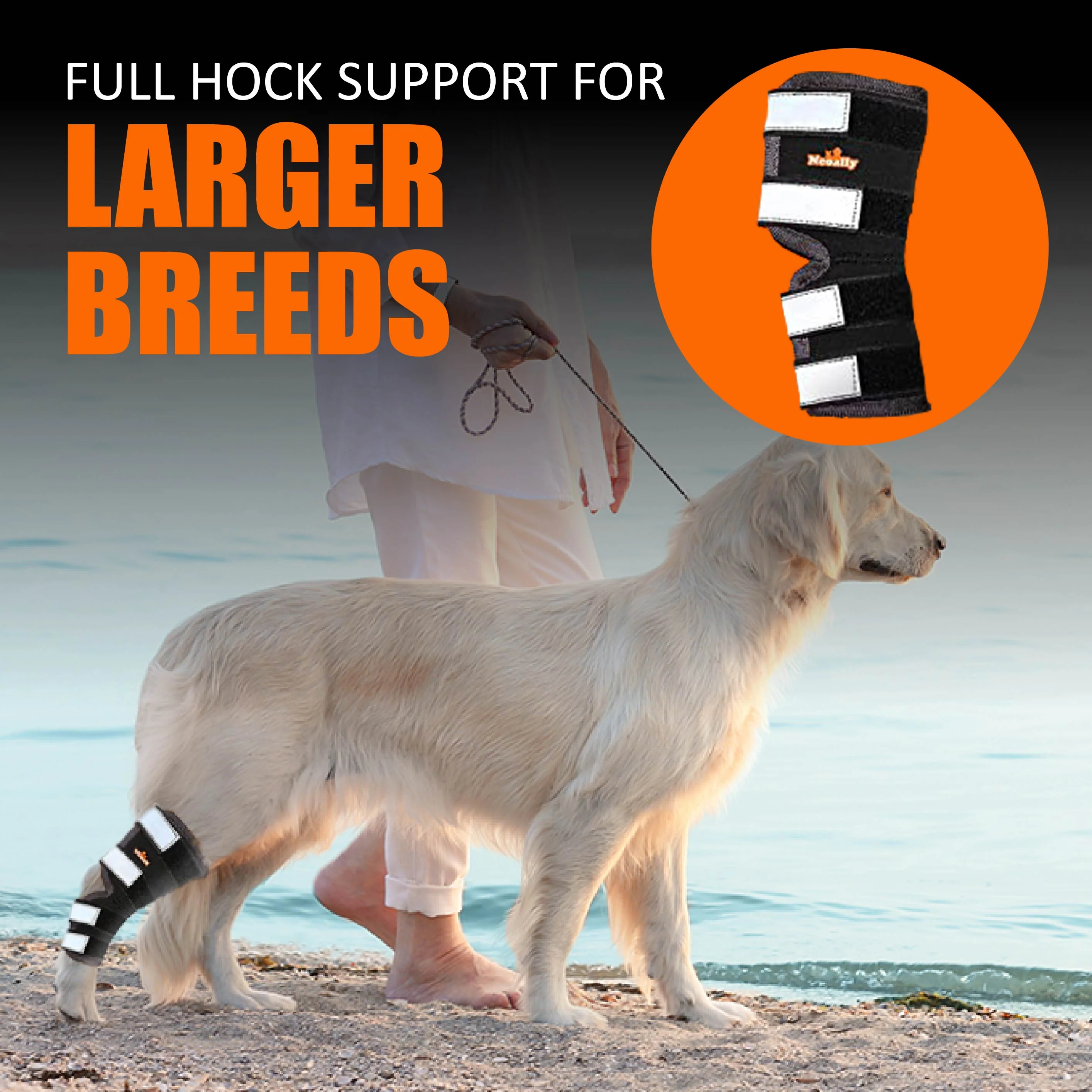 NeoAlly Dog Rear Leg Hock Brace with Safety Reflective Straps for Large Dogs [Long Version] - Image 11