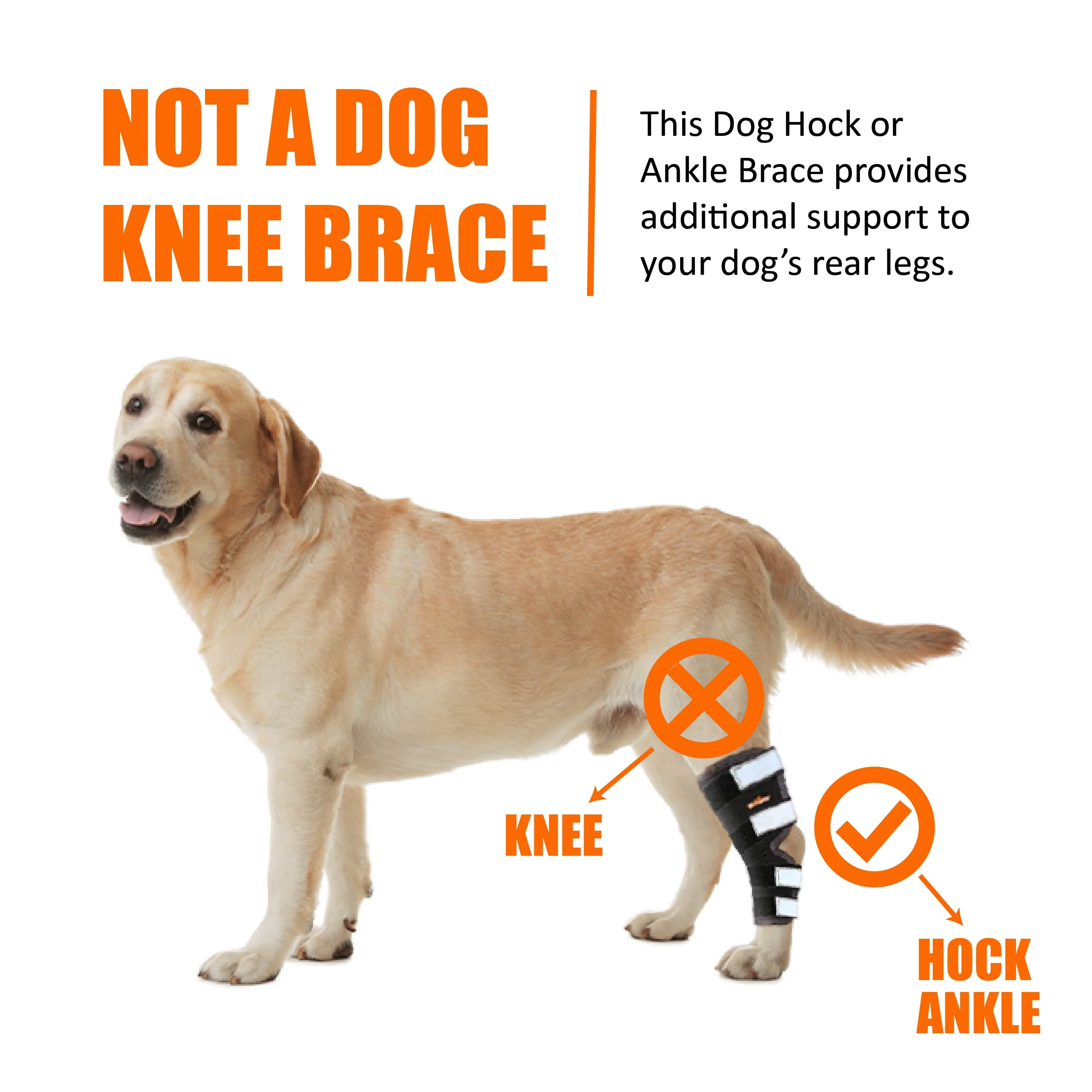 NeoAlly Dog Rear Leg Hock Brace with Safety Reflective Straps for Large Dogs [Long Version] - Image 14