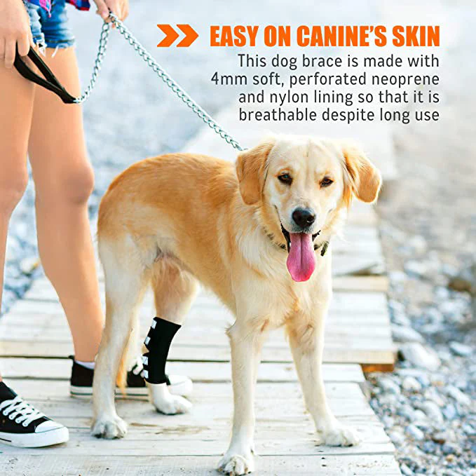 NeoAlly Dog Rear Leg Hock Brace with Safety Reflective Straps for Large Dogs [Long Version] - Image 15