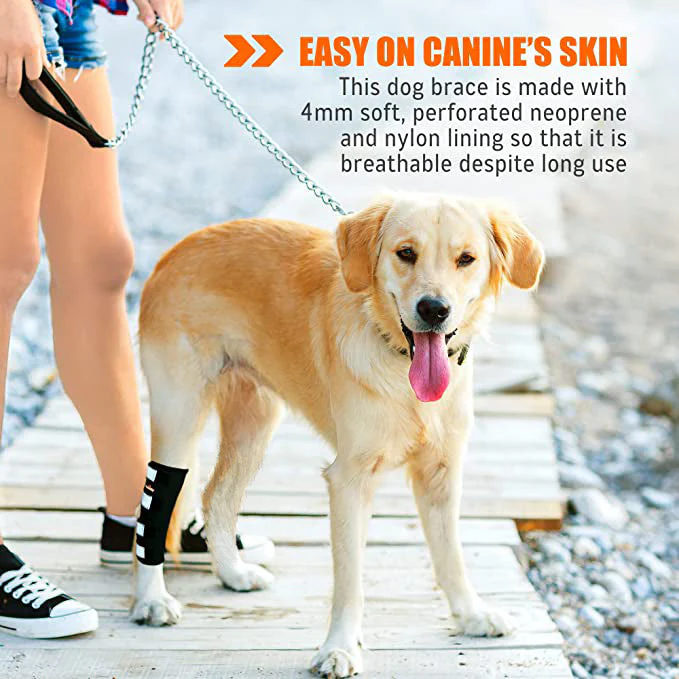NeoAlly Dog Rear Leg Hock Brace with Safety Reflective Straps for Large Dogs [Long Version] - Image 16