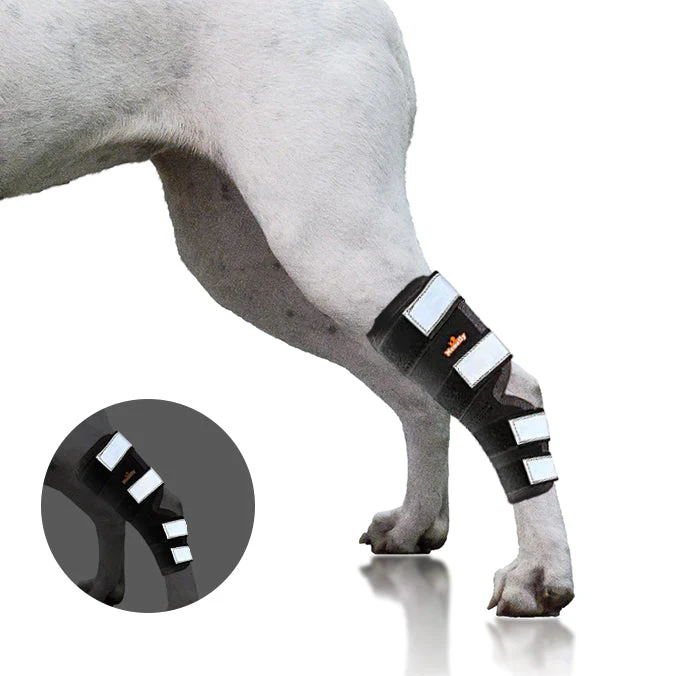 NeoAlly Dog Rear Leg Hock Brace with Safety Reflective Straps for Large Dogs [Long Version] - Image 3