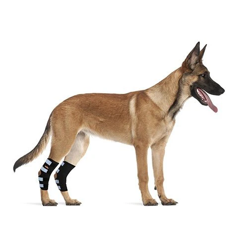 NeoAlly Dog Rear Leg Hock Brace with Safety Reflective Straps for Large Dogs [Long Version] - Image 5