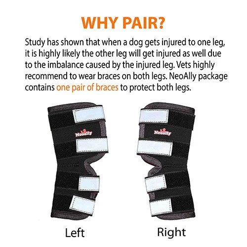 NeoAlly Dog Rear Leg Hock Brace with Safety Reflective Straps for Large Dogs [Long Version] - Image 7