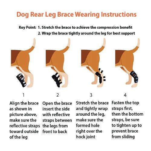 NeoAlly Dog Rear Leg Hock Brace with Safety Reflective Straps for Large Dogs [Long Version] - Image 8
