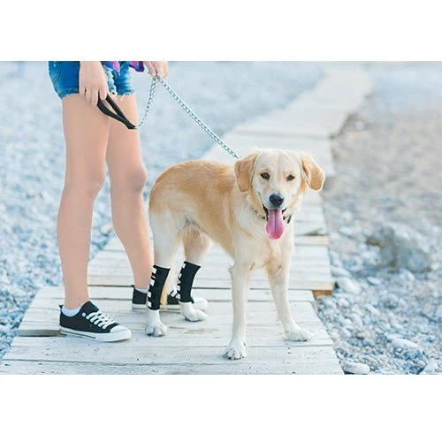 NeoAlly Dog Rear Leg Hock Brace with Safety Reflective Straps for Large Dogs [Long Version] - Image 9
