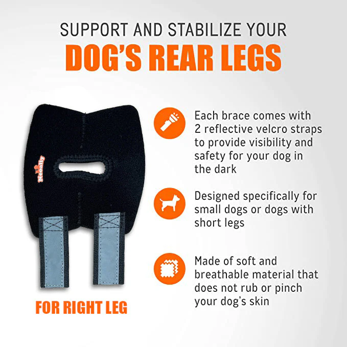NeoAlly Dog Rear Leg Hock Brace with Safety Reflective Straps for Small Dogs [Short Version] - Image 11
