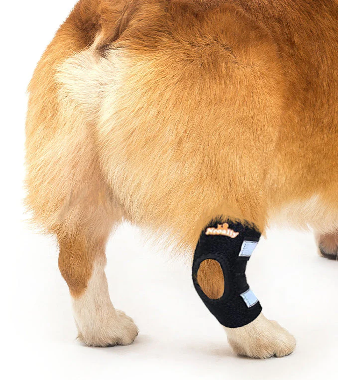 NeoAlly Dog Rear Leg Hock Brace with Safety Reflective Straps for Small Dogs [Short Version] - Image 3