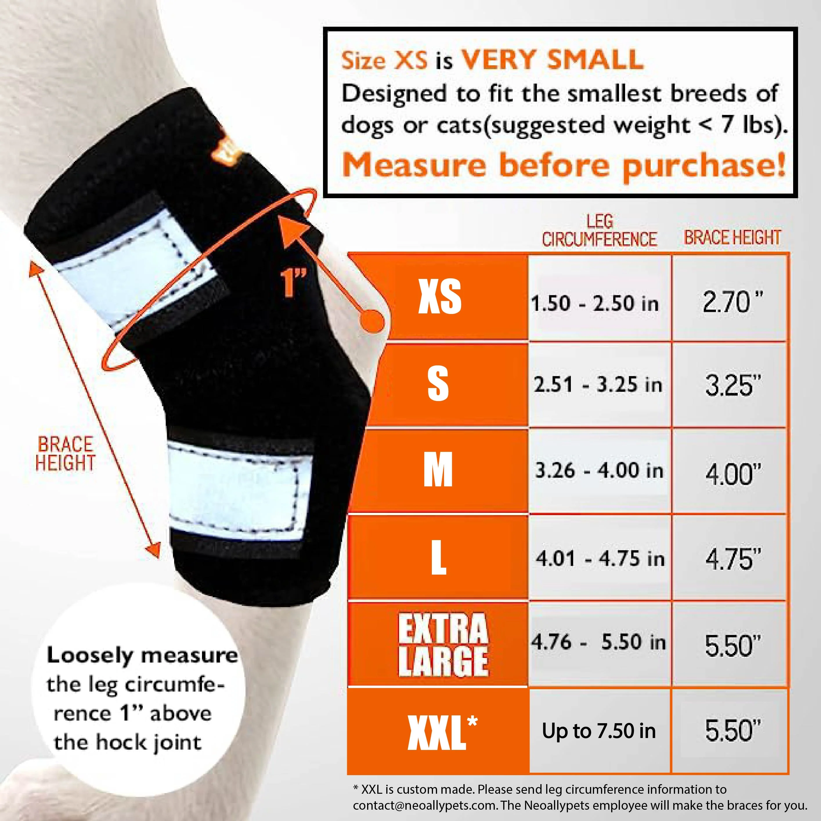 NeoAlly Dog Rear Leg Hock Brace with Safety Reflective Straps for Small Dogs [Short Version] - Image 4