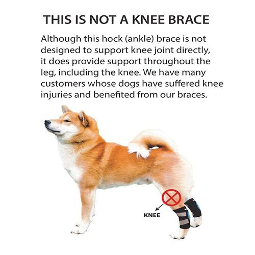 NeoAlly Dog Rear Leg Hock Brace with Safety Reflective Straps for Small Dogs [Short Version] - Image 5