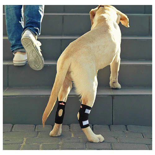 NeoAlly Dog Rear Leg Hock Brace with Safety Reflective Straps for Small Dogs [Short Version] - Image 6