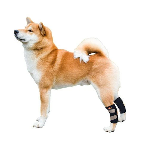 NeoAlly Dog Rear Leg Hock Brace with Safety Reflective Straps for Small Dogs [Short Version] - Image 7