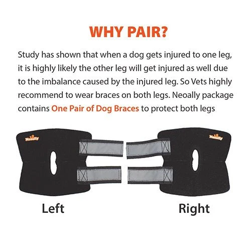 NeoAlly Dog Rear Leg Hock Brace with Safety Reflective Straps for Small Dogs [Short Version] - Image 8