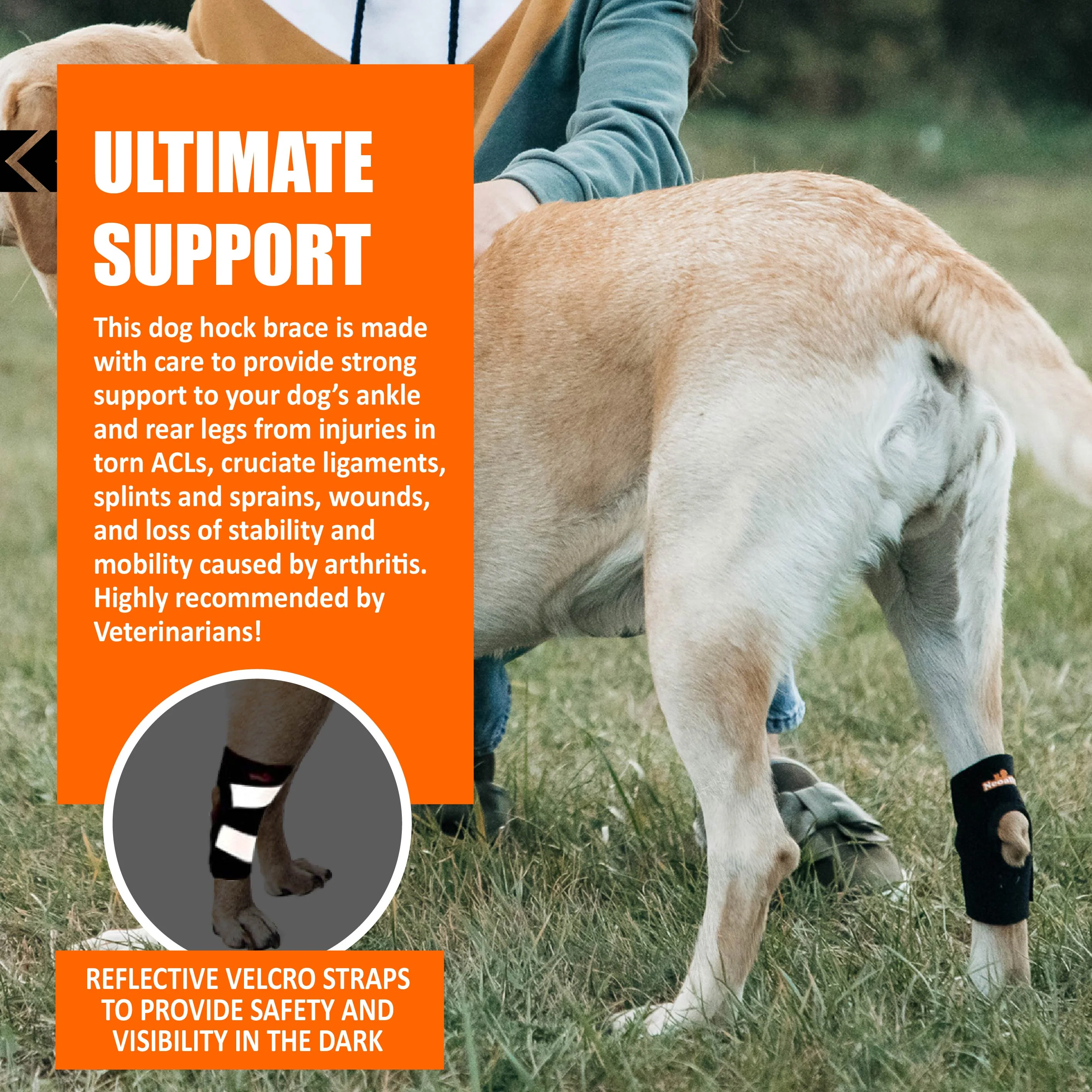 NeoAlly Dog Rear Leg Hock Brace with Safety Reflective Straps for Small Dogs [Short Version] - Image 9