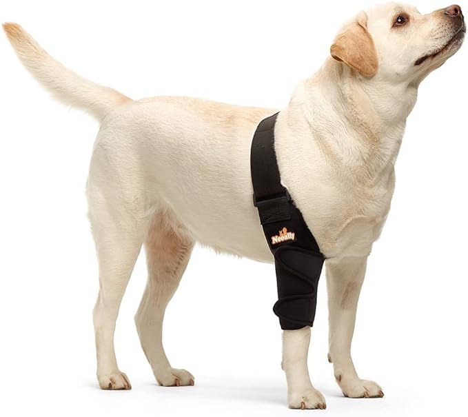 NeoAlly Elbow and Shoulder Brace for Dogs and Cats - Optimal Support for Pet Mobility - Image 2