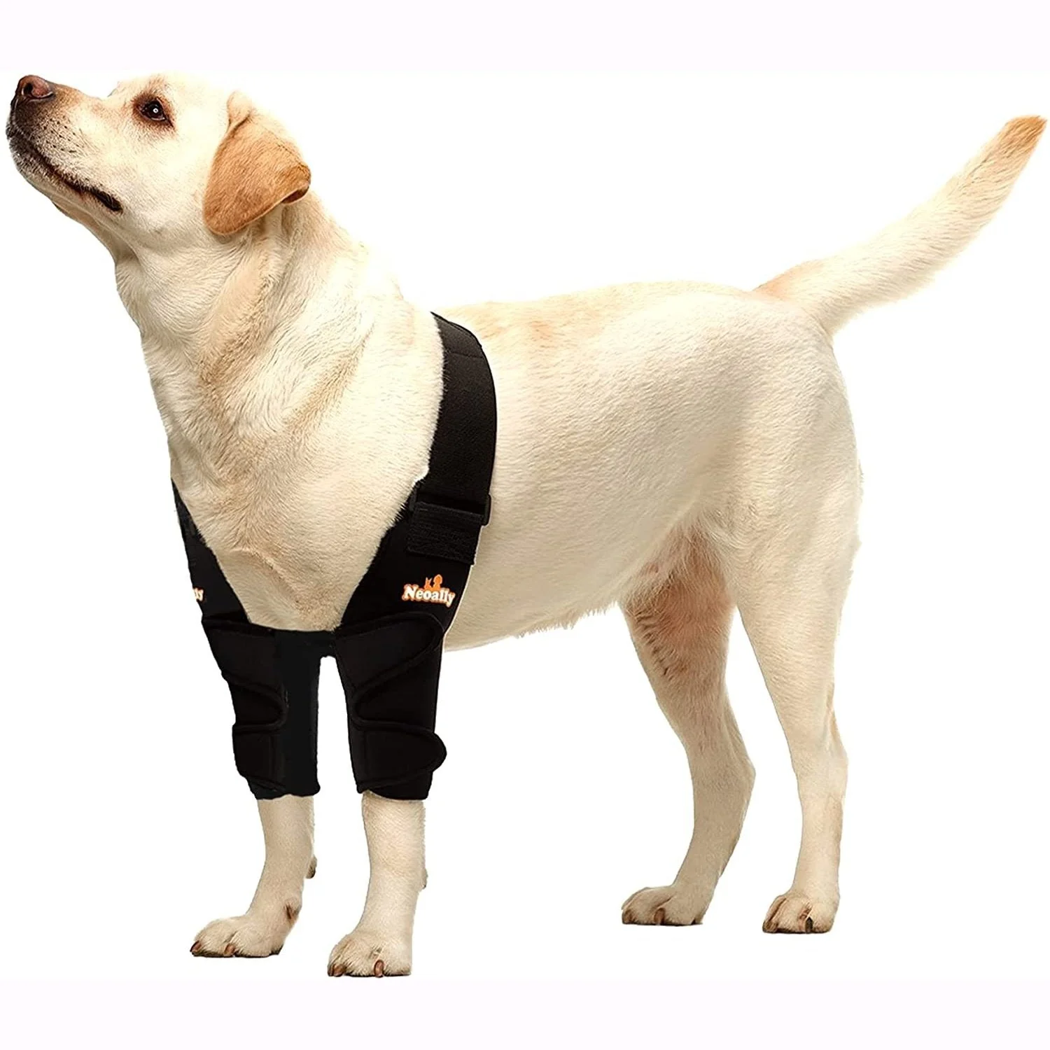 NeoAlly Elbow and Shoulder Brace for Dogs and Cats - Optimal Support for Pet Mobility - Image 3