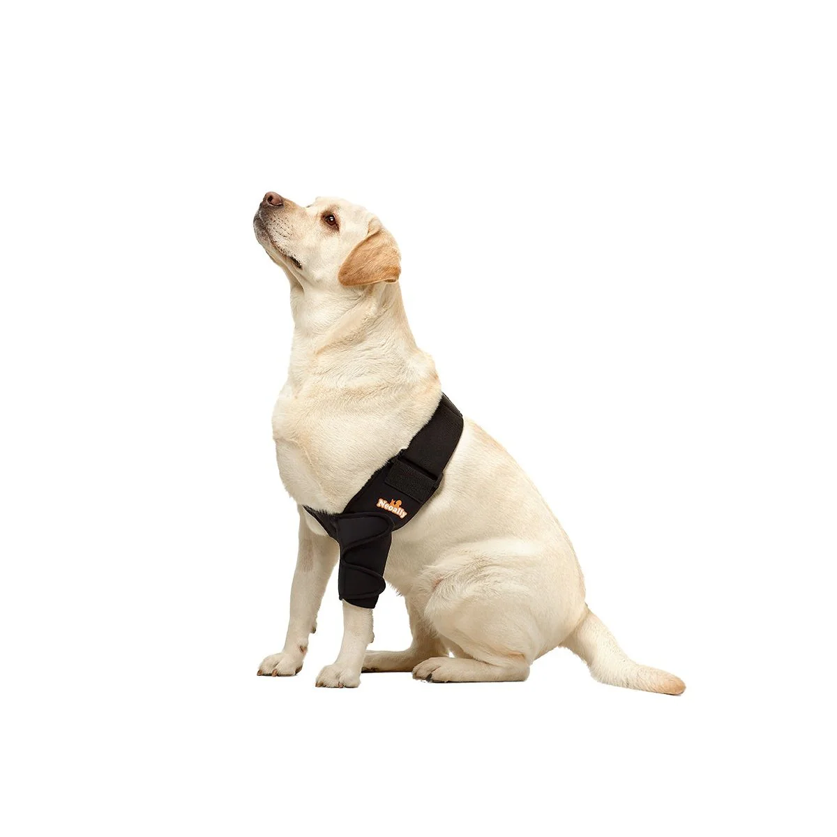 NeoAlly Elbow and Shoulder Brace for Dogs and Cats - Optimal Support for Pet Mobility - Image 8