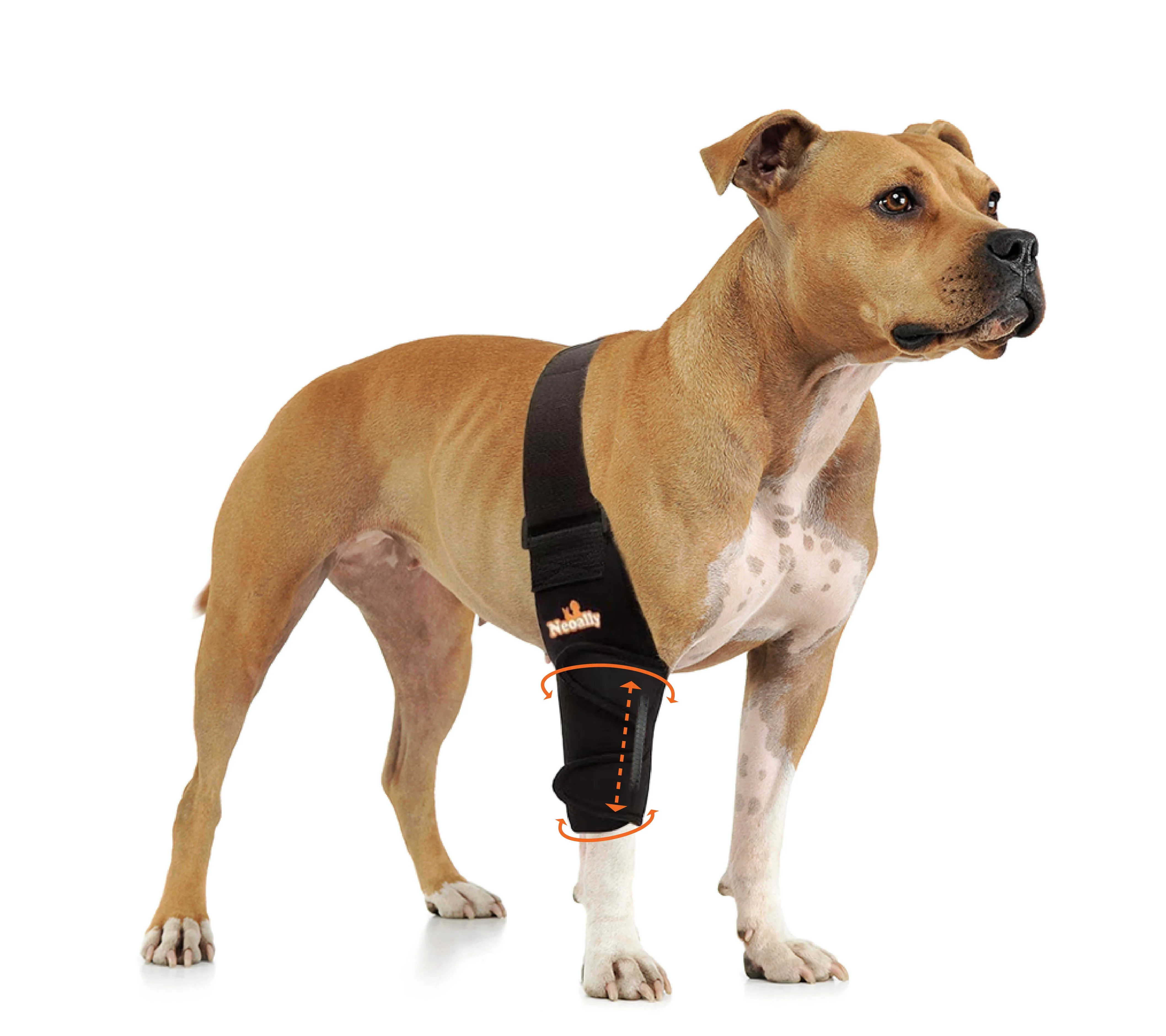 NeoAlly Elbow and Shoulder Brace with Spring Inserts for Dogs and Cats - Enhance Pet Mobility with Optimal Support - Image 2