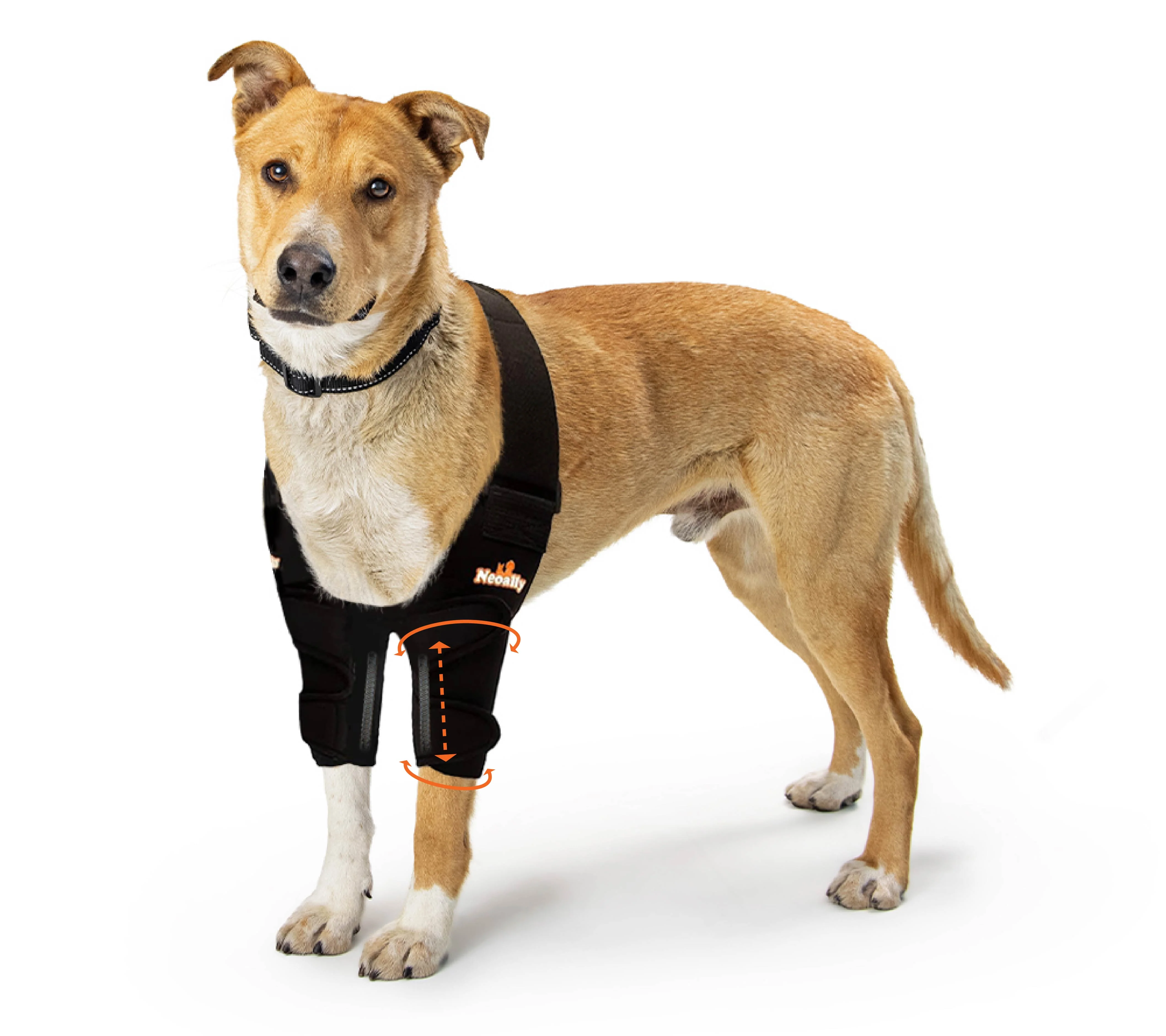 NeoAlly Elbow and Shoulder Brace with Spring Inserts for Dogs and Cats - Enhance Pet Mobility with Optimal Support - Image 3