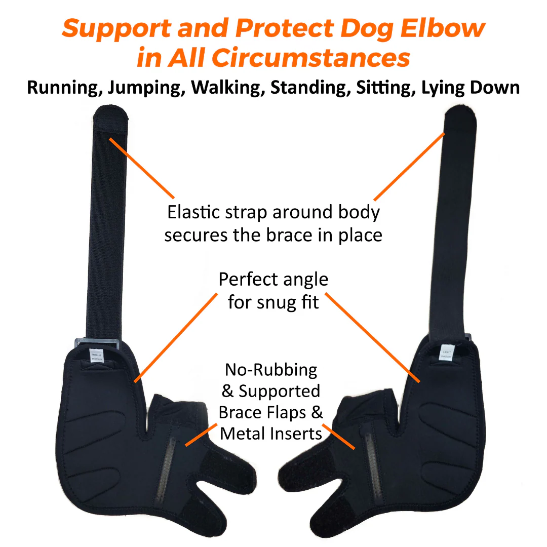 NeoAlly Elbow and Shoulder Brace with Spring Inserts for Dogs and Cats - Enhance Pet Mobility with Optimal Support - Image 7