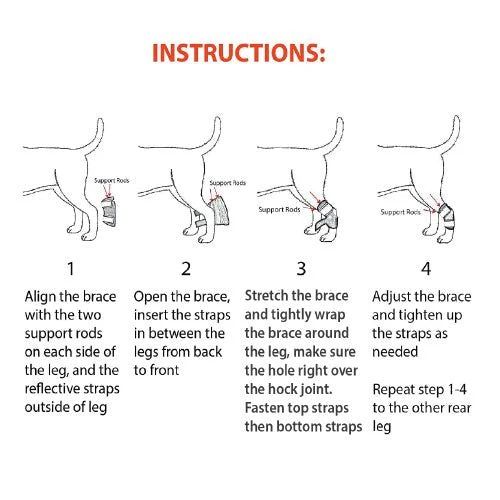 NeoAlly Rear Leg Hock Brace - Metal Spring Strips for Small Dogs [Short Version] (Pair) - Image 4