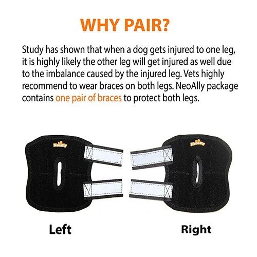 NeoAlly Rear Leg Hock Brace - Metal Spring Strips for Small Dogs [Short Version] (Pair) - Image 6