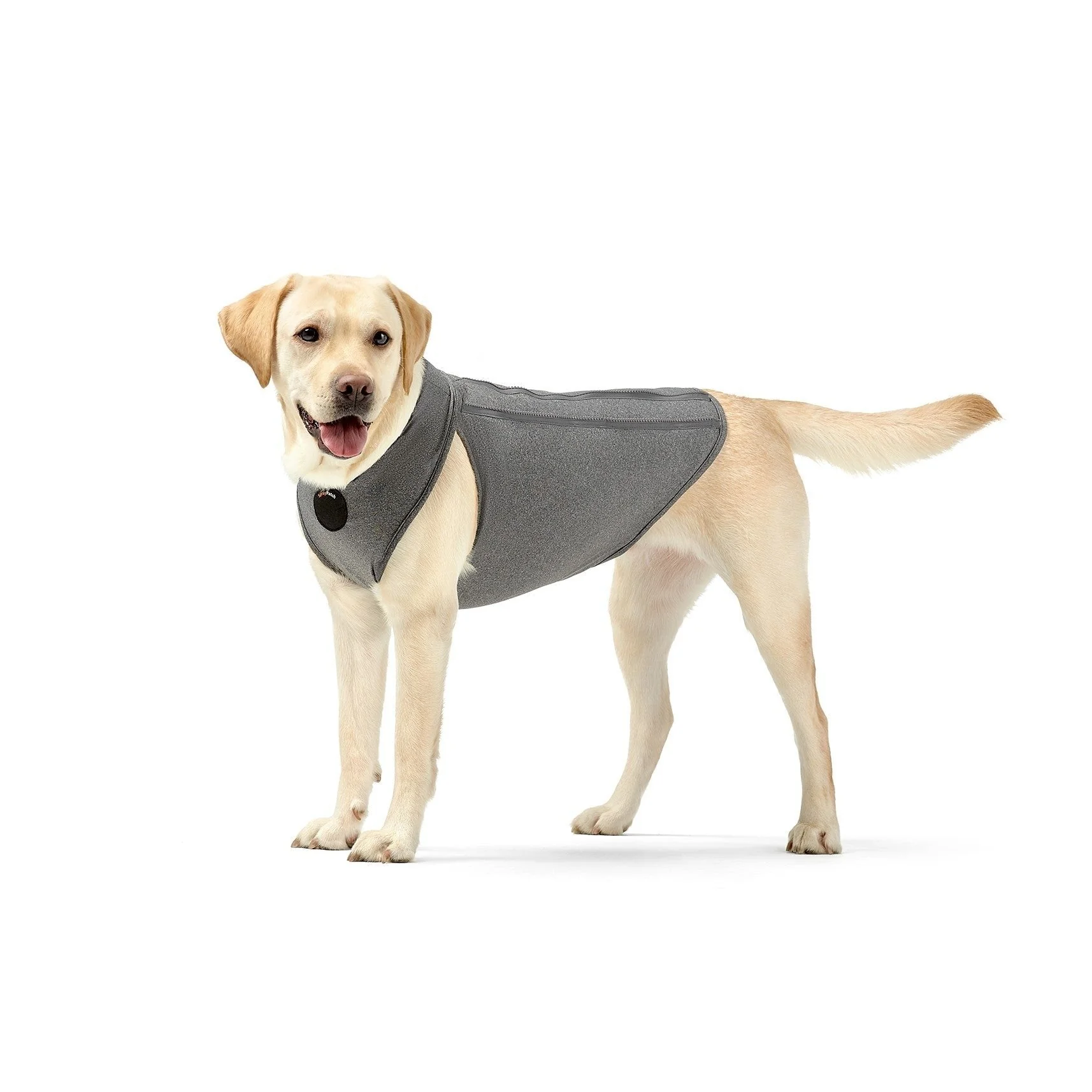 NeoAlly Upgraded Dog Surgical Recovery Vest for Dogs and Cats - Image 3