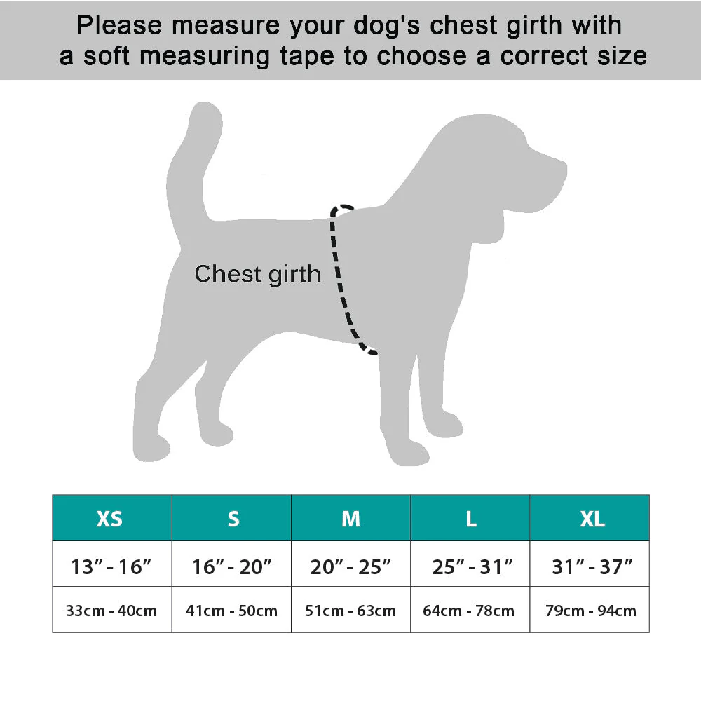 NeoAlly Upgraded Dog Surgical Recovery Vest for Dogs and Cats - Image 5
