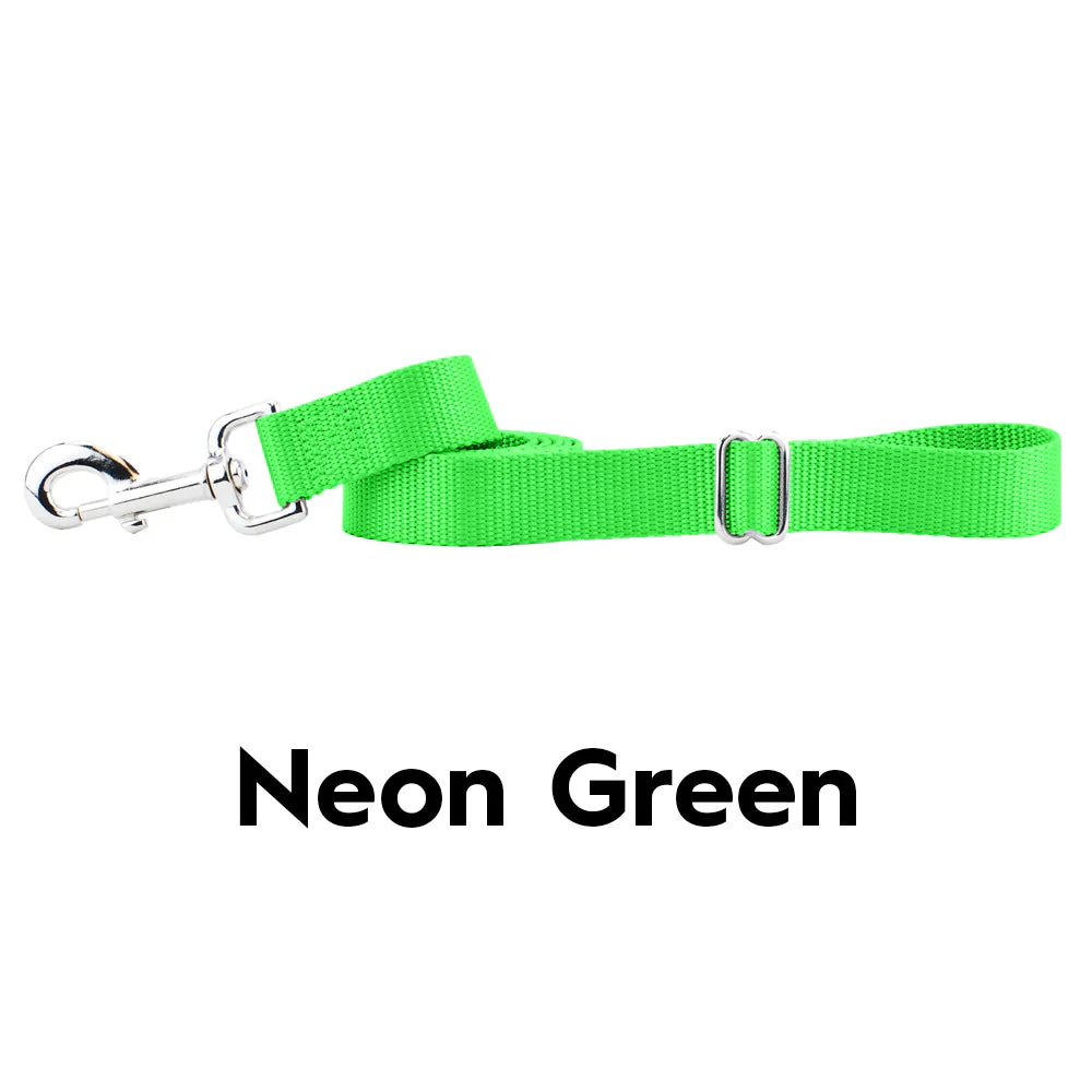 Neon Green Nylon Dog Leash - Image 2