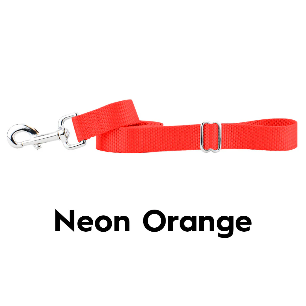 Neon Orange Nylon Dog Leash - Image 2