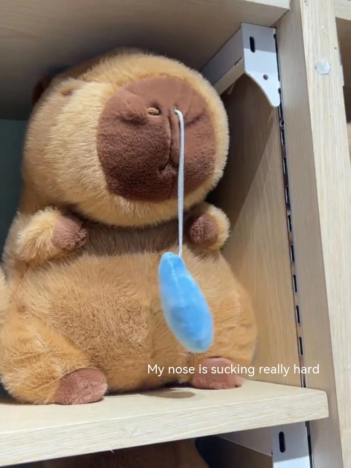 New Capibara Snot Withdraw Doll Doll Plush Toy Capybara Ugly And Cute Pillow Capybara Online Influencer Cute - Image 6