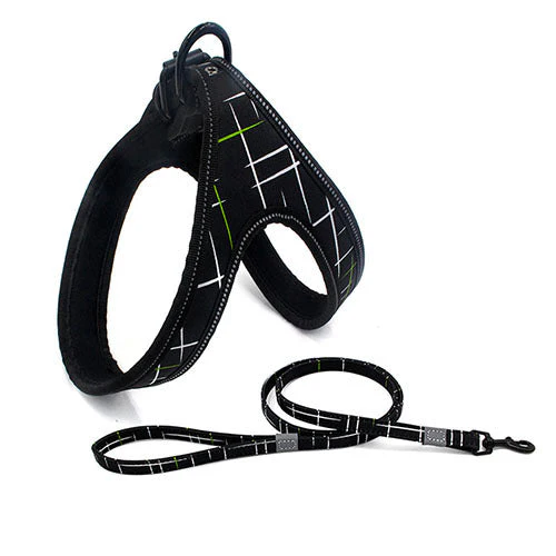 Night-Safe Dog Harness & Leash Set - Image 3