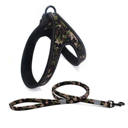 Night-Safe Dog Harness & Leash Set - Image 4
