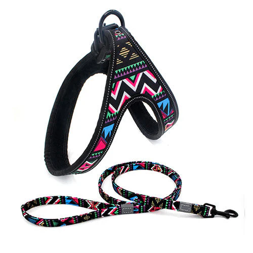 Night-Safe Dog Harness & Leash Set - Image 5