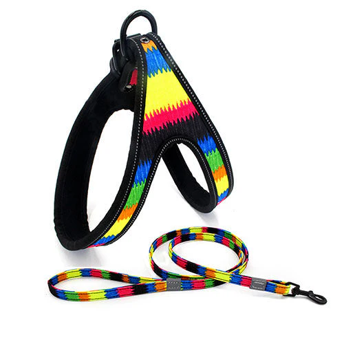 Night-Safe Dog Harness & Leash Set - Image 6