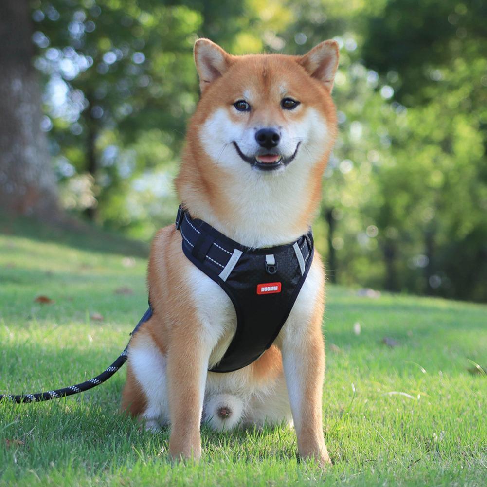 No Pull Breathable Reflective Pet Harness - Image 9