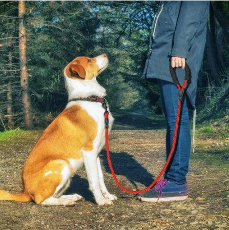 No Pull Heavy Duty Reflective Dog Leash