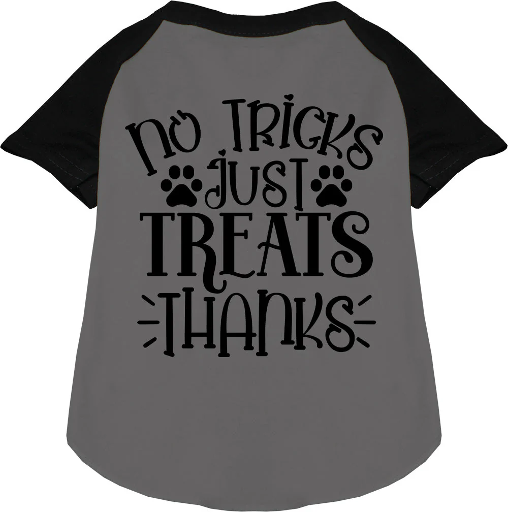 No Tricks, Just Treats Pet Raglan Shirt - Image 3