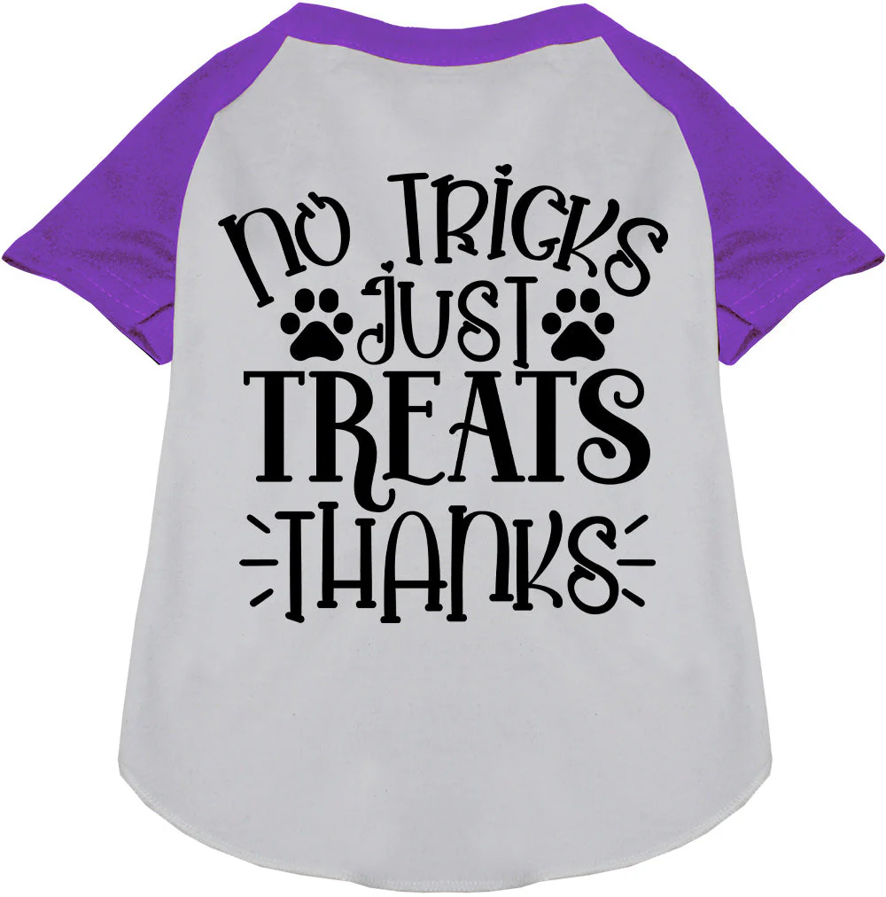 No Tricks, Just Treats Pet Raglan Shirt - Image 6