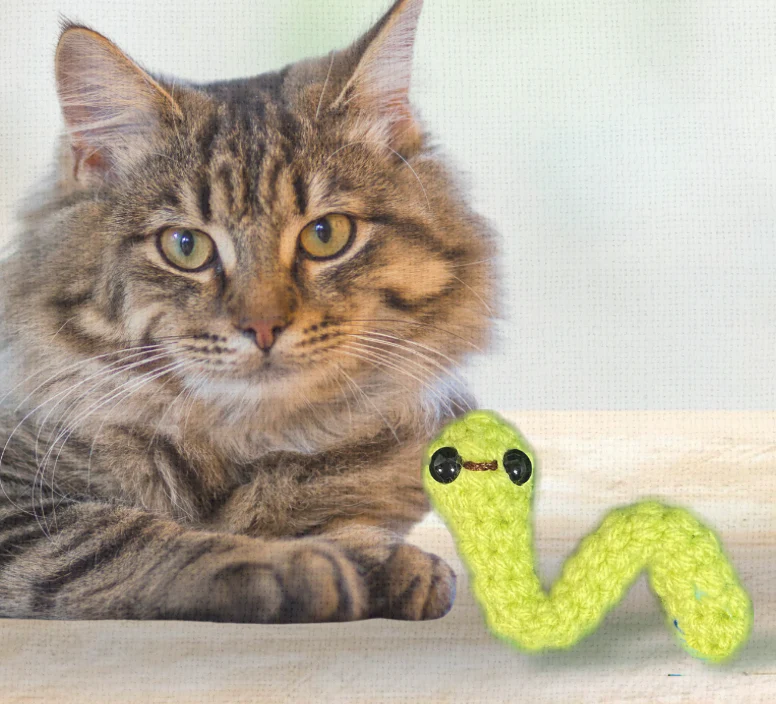 Noodle the inchworm | lightweight cat toy - Image 6