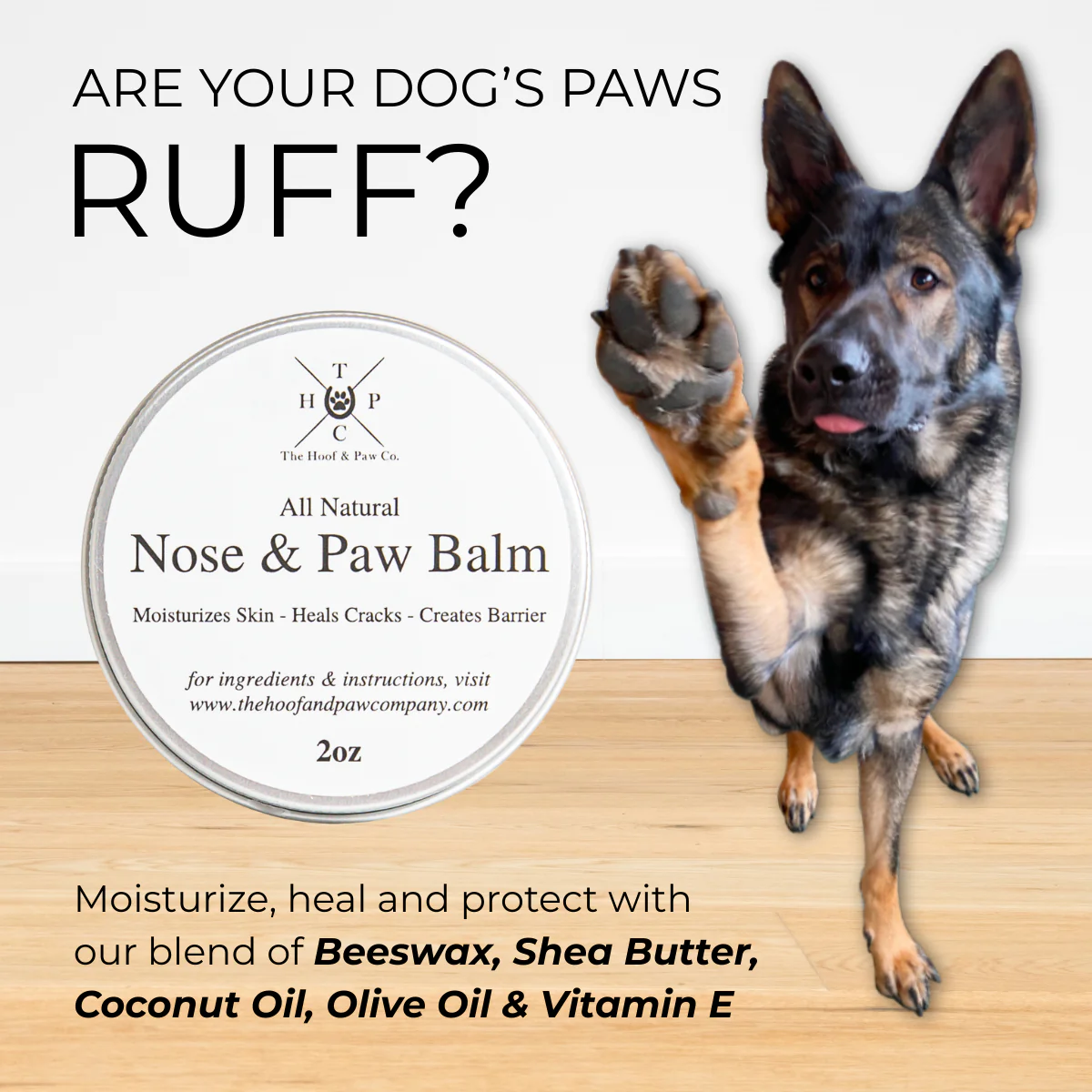 Nose & Paw Balm for Dogs - 2oz - Image 3