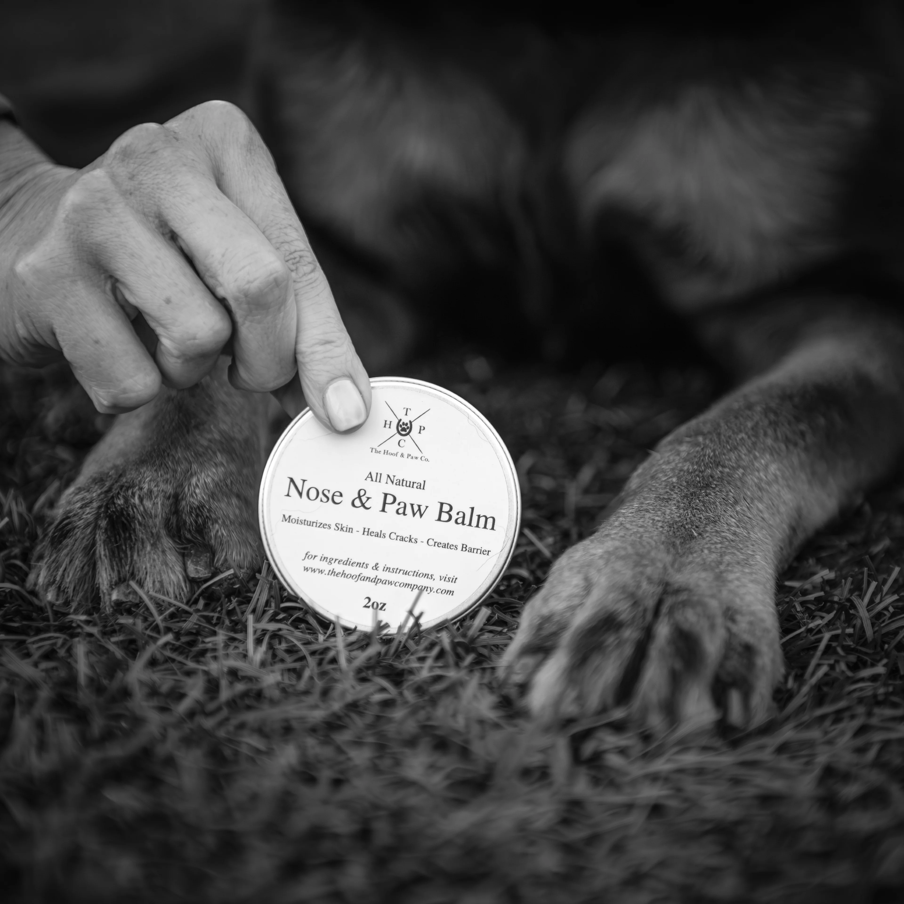 Nose & Paw Balm for Dogs - 2oz - Image 4