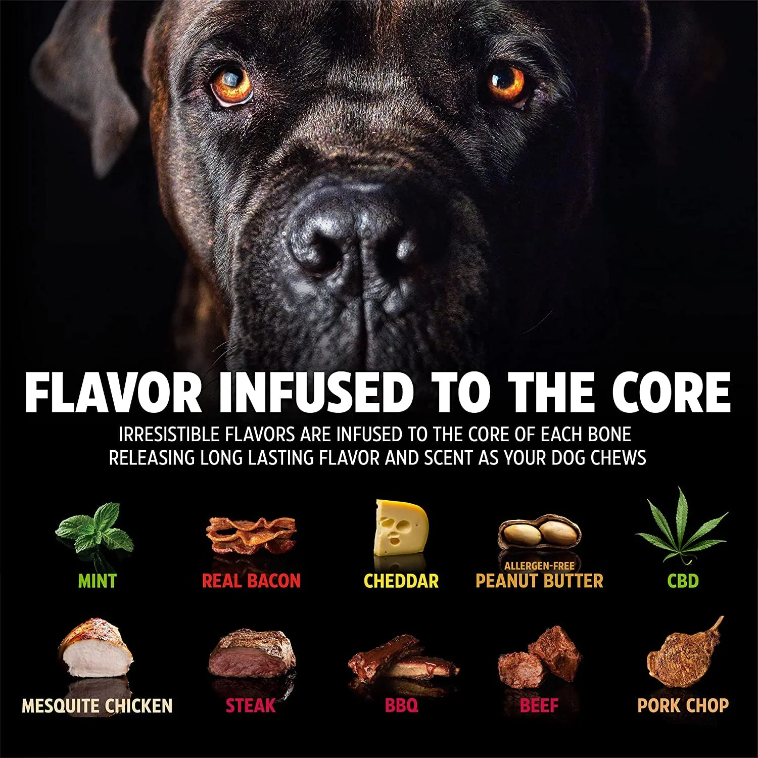 Nylon Dog Bone for Aggressive Chewers - Image 4