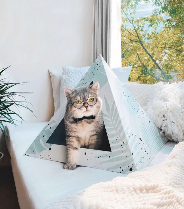 'Oasis' Cardboard Cat Pyramid - Image 2