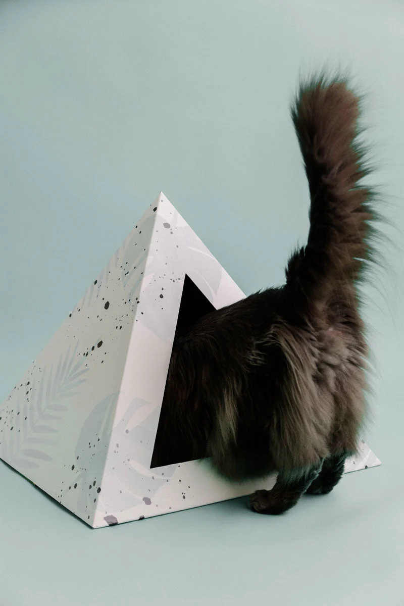 'Oasis' Cardboard Cat Pyramid - Image 5