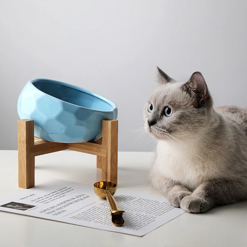 Oblique Mouth Wooden Stand Cat Bowl - Image 2
