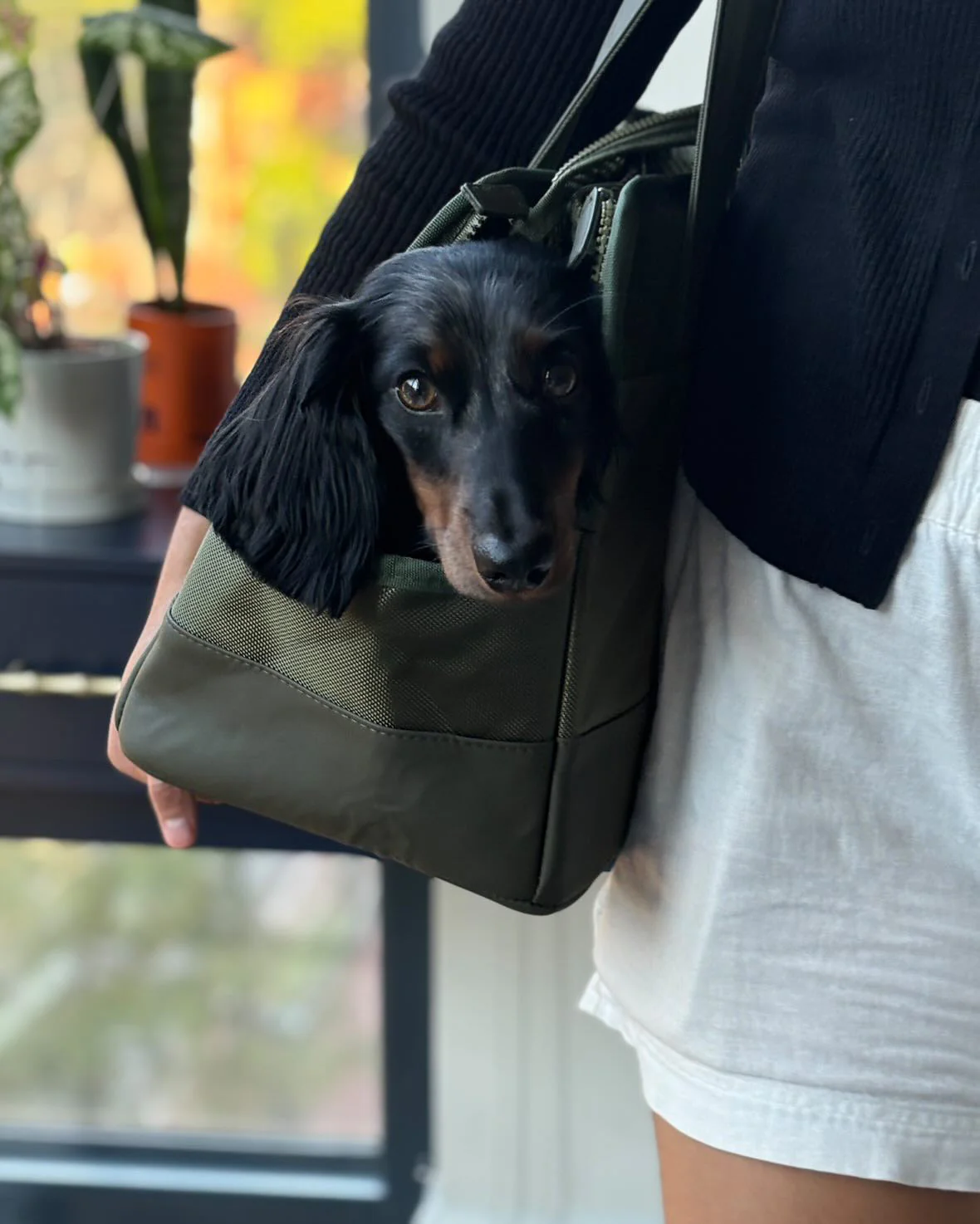 Olive Green Pet Tote Bag - Image 6