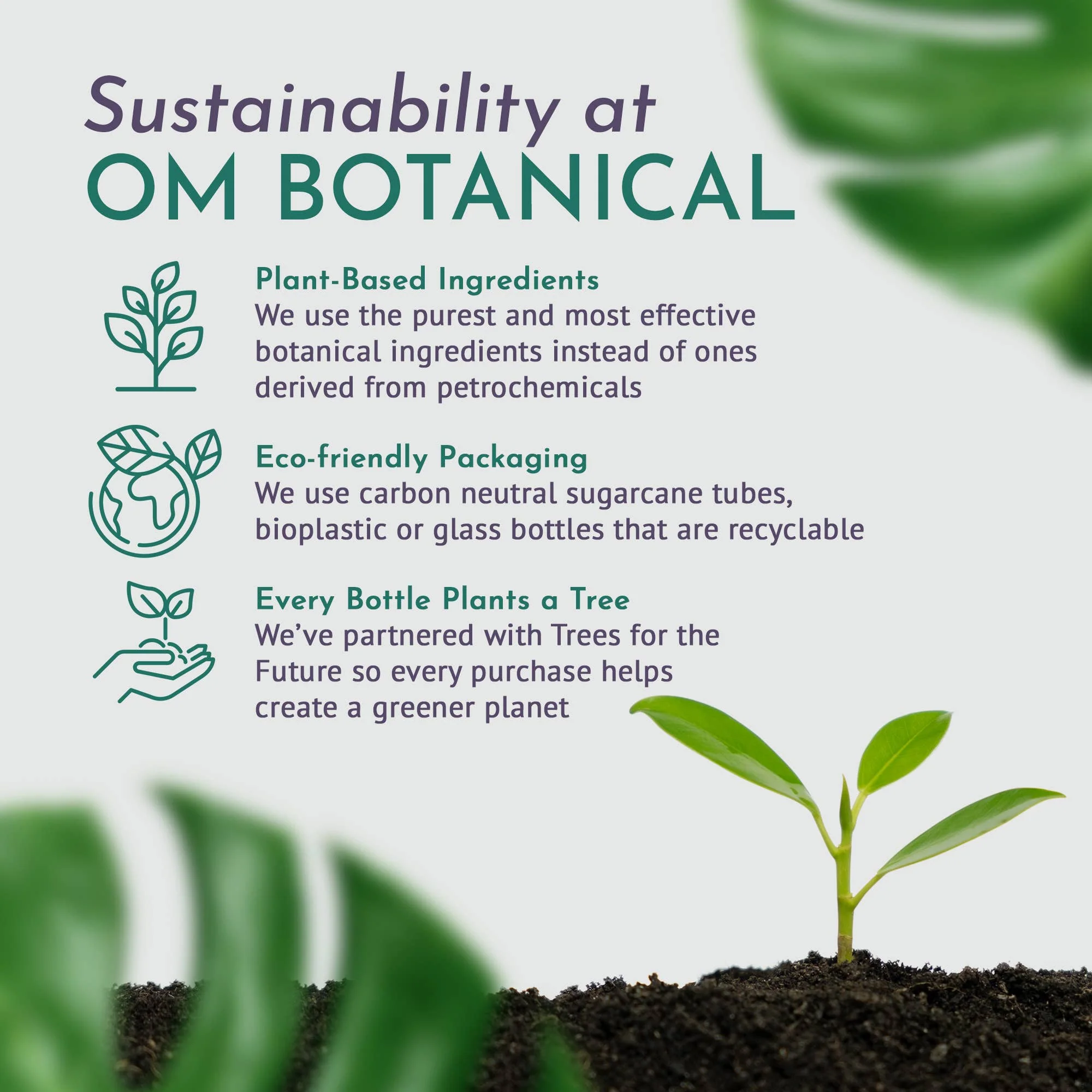 OM Botanical Anti-aging Bakuchiol Serum - Image 3