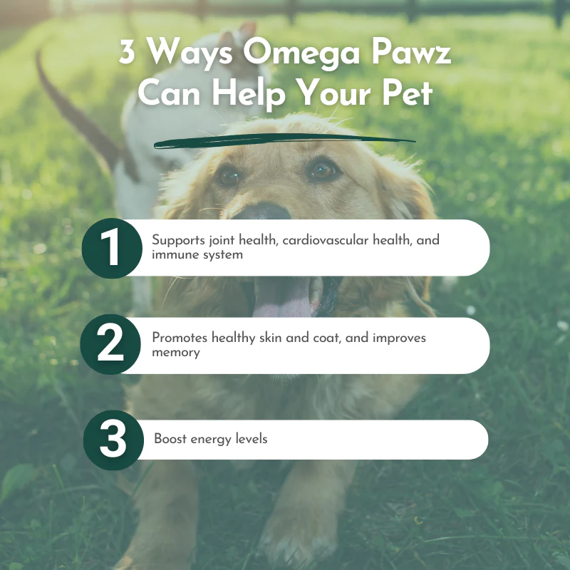 Omega Pawz - Liquid Omega 3 Oil for Dogs and Cats - Image 5