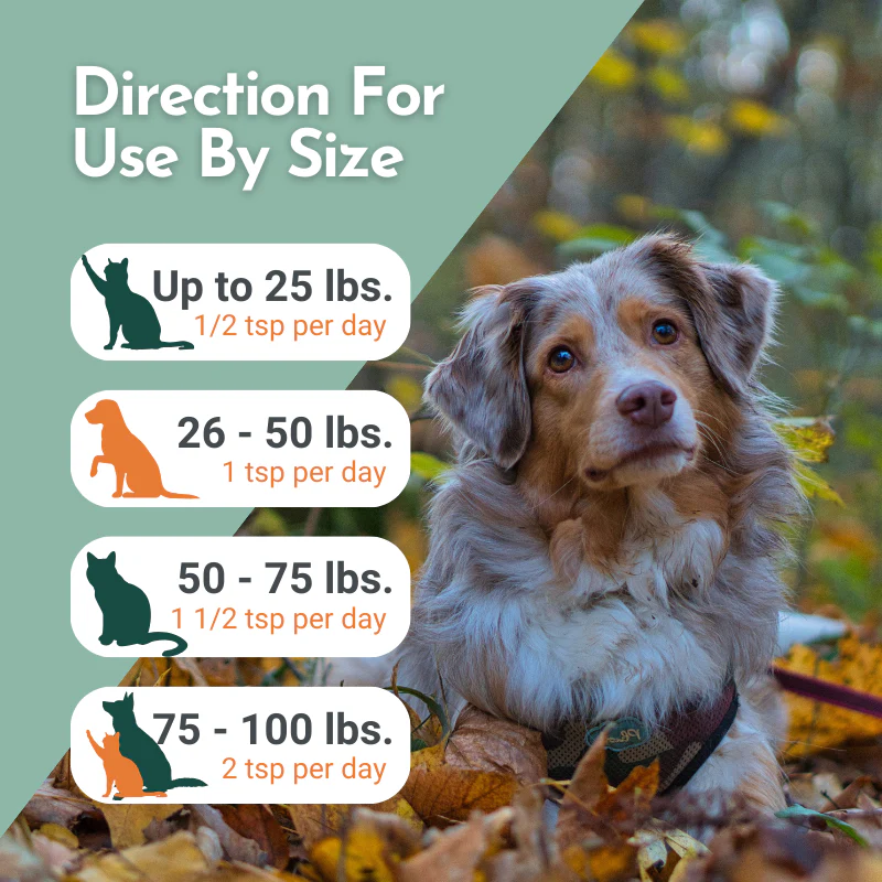 Omega Pawz - Liquid Omega 3 Oil for Dogs and Cats - Image 9