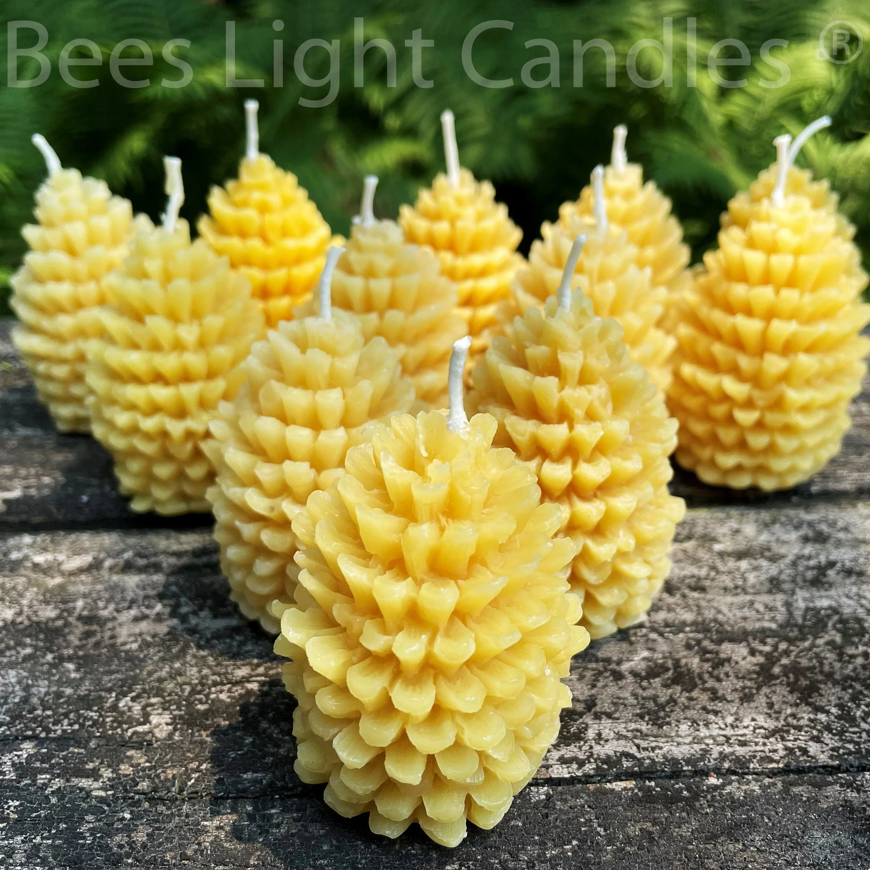 One Dozen Pinecone Beeswax Candles - Image 2
